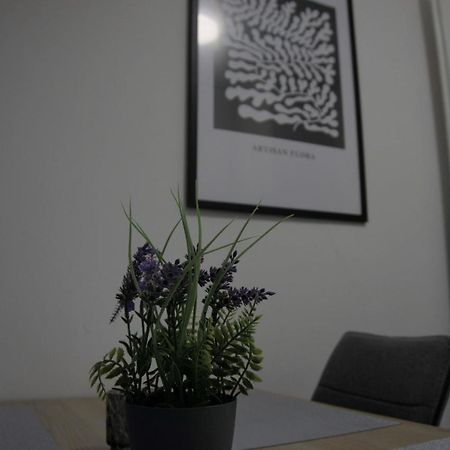 Swan Apartments Nürnberg Eksteriør bilde